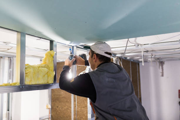 Best Insulation for Specific Applications in Wyong, MI
