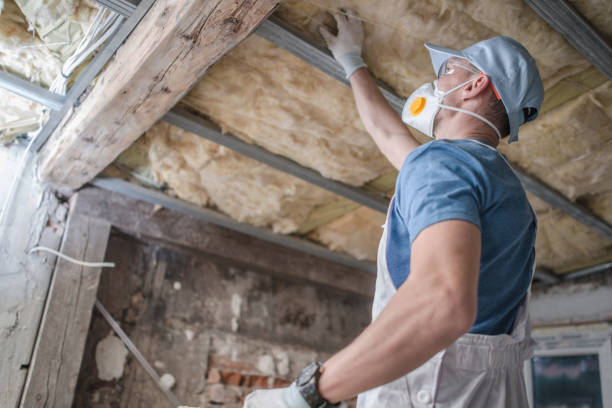 Best Types of Insulation in Wyong, MI