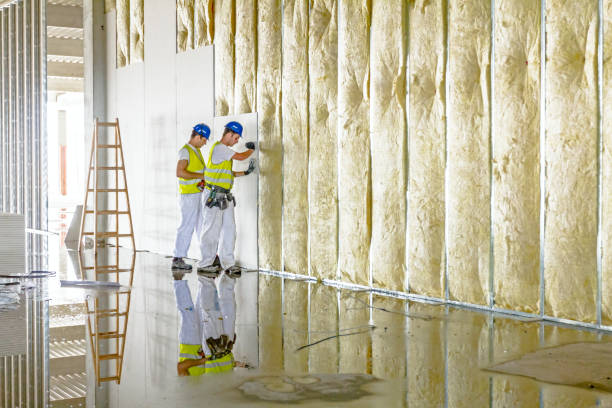 Best Insulation for Specific Applications in Wyong, MI